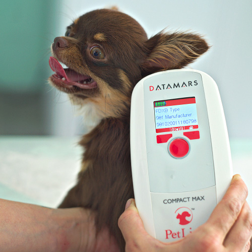 datamars-about-which-tools-2 Datamars Pet ID - Why use microchips?
