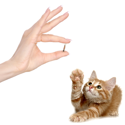 datamars-about-how-3 Datamars Pet ID - How use microchips?
