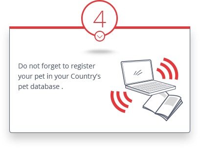 datamars-punto-picto-04-3 Datamars - How electronic identification works - 4