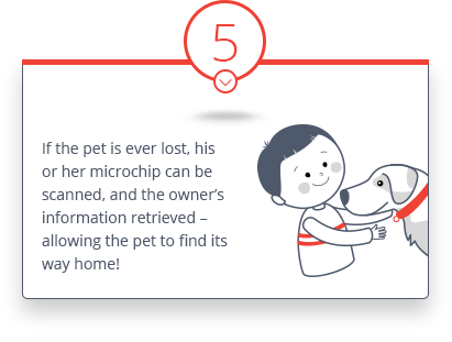 datamars-punto-picto-05-2 Datamars - How electronic identification works - 5