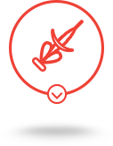 product-3 Datamars icon Product